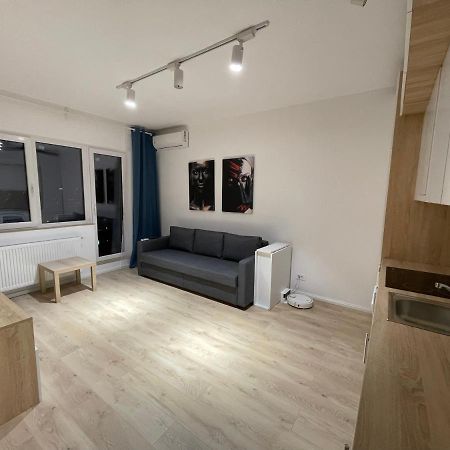 Amethyst Luxury Apartment Palace 布加勒斯特 外观 照片