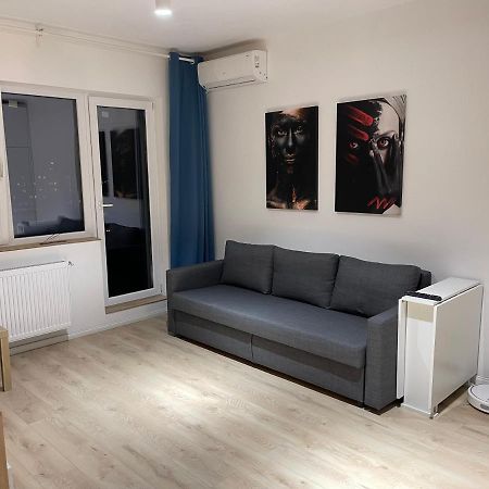 Amethyst Luxury Apartment Palace 布加勒斯特 外观 照片