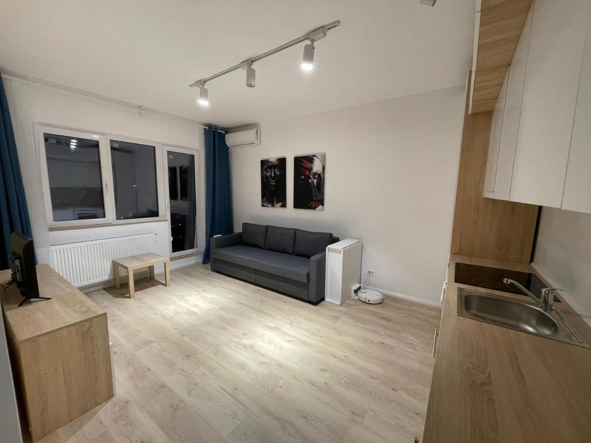 Amethyst Luxury Apartment Palace 布加勒斯特 外观 照片