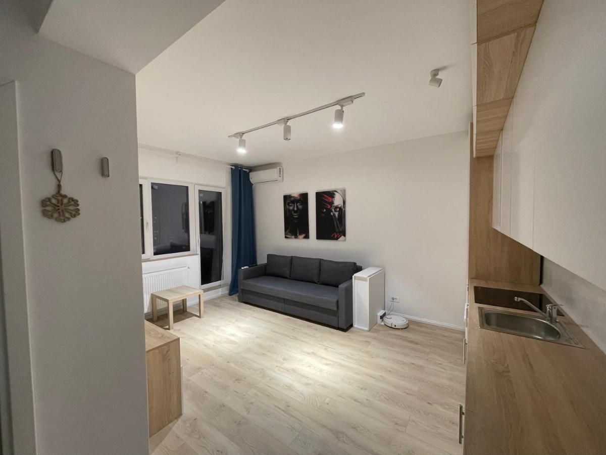 Amethyst Luxury Apartment Palace 布加勒斯特 外观 照片