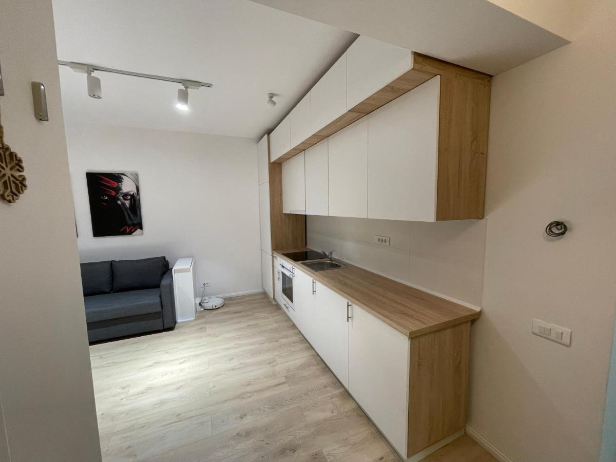 Amethyst Luxury Apartment Palace 布加勒斯特 外观 照片